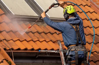 Démoussage et hydrofuge de toiture à Mercuer